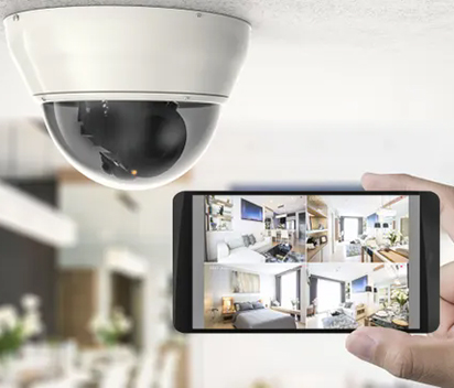 NVR Systems with Cloud Backup and Remote Access
