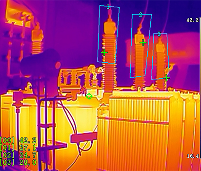 Sterile Zone Monitoring Around Substations and Fuel Storage with IP Camera