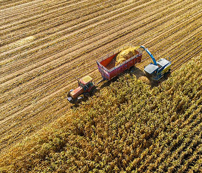 Farms and Storage Yards: Long-Range Coverage With NVR System